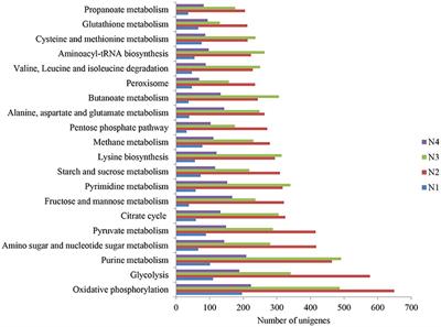 Metatranscriptomics Reveals the Functions and Enzyme Profiles of the Microbial Community in Chinese Nong-Flavor Liquor Starter